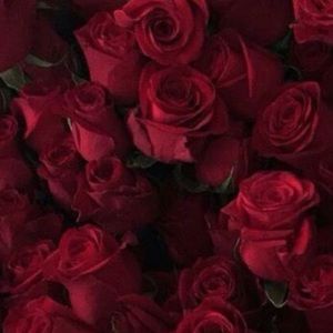 Meet your Posher, Lia